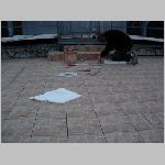 DSCN1944.html