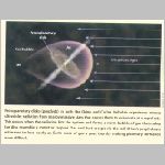 06protoplan1.html