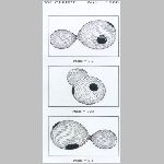 914vwcep2.html