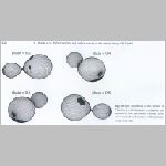 914vwcep3.html