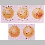 solarmagnetism.html