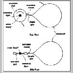 22dwarf_nova.html