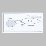 44torpenova.html