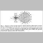 48xray_binary3.html