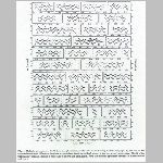 26_fgvir.html