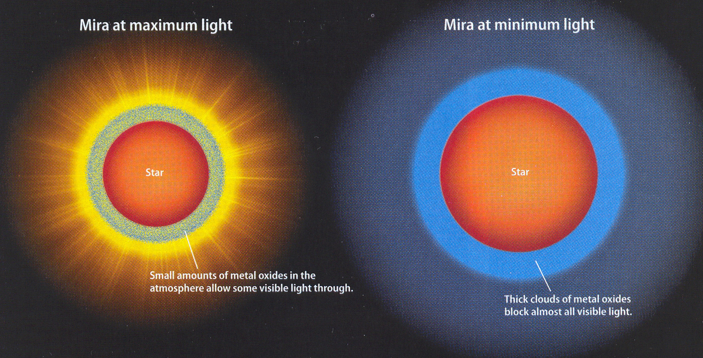 Image
                3_25_abra_mira_dimm