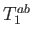 $ T_{1}^{ab}$