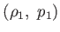 $ \left( \rho _{1}, p_{1}\right) $
