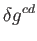 $\displaystyle \delta g^{cd}$