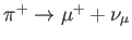 $ \pi ^{+}\rightarrow
\mu ^{+}+\nu _{\mu }$