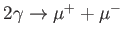 $ 2\gamma \rightarrow
\mu ^{+}+\mu ^{-}$
