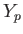 $
          Y_{p}$