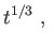 $\displaystyle t^{1/3} , $