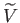 $ \widetilde{V}$
