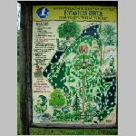 97debrecen_botanikus.html