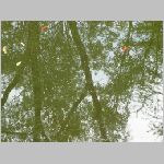 98debrecen_to3.html