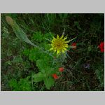 DSCN2146.html