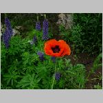 DSCN4289.html