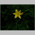 DSCN4295.html
