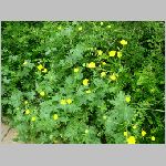 DSCN4296.html