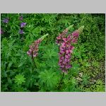 DSCN4297.html