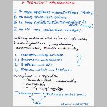 05term_megism.html
