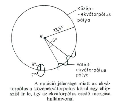 A nutci jelensge.