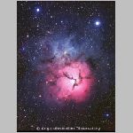 08trifid_aao.html