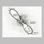 15protocsill.html