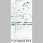 15kettoscsillag2.html