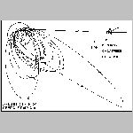 53galileo2.html