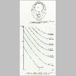 muhold_elettartam.html