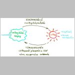 10korforgas.html