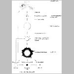 12csill_fejlodes3.html