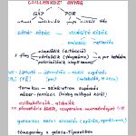 15csillagkozianyag.html