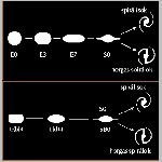 32hubbletip.html