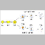 33hubseq3.html