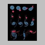 51m51_model1.html