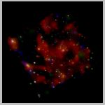 56m101_xray.html