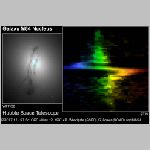 84m84stis.html