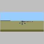 29cr_animation.html