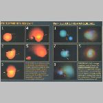 starcoll3.html