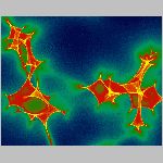 15caustics_jkw.html