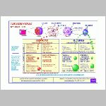 03parts.html