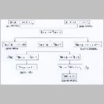 16ppciklus3.html