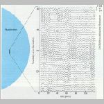 80nap_pulz1.html