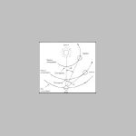 015elongacio.html