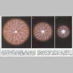 817protocs4.html