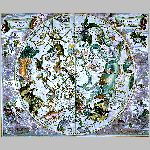 36cellarius_aust.html