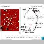 23c-02n.html